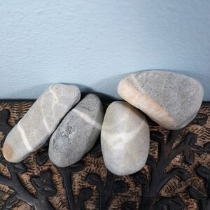 *4 Banded Stones East Coast Beach Rocks Raw Rough Mineral Specimens Gray White